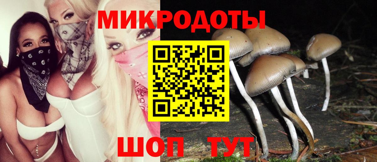 Галлюциногенные грибы мицелий  Вход с VPN  Псилоцибиновые грибы Psilocybe  Малгобек 